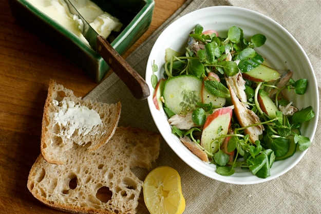 rhubarb and mackerel salad