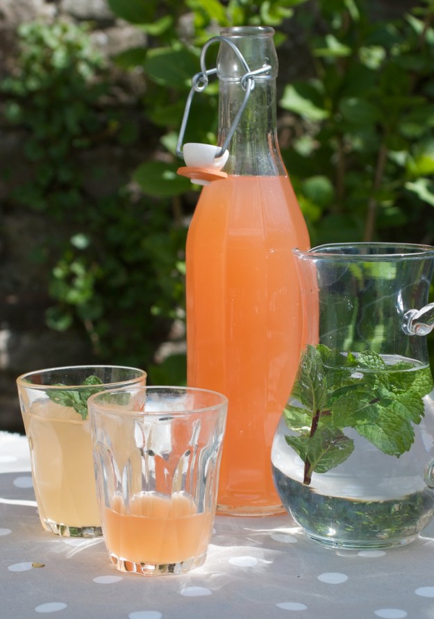 rhubarb cordial