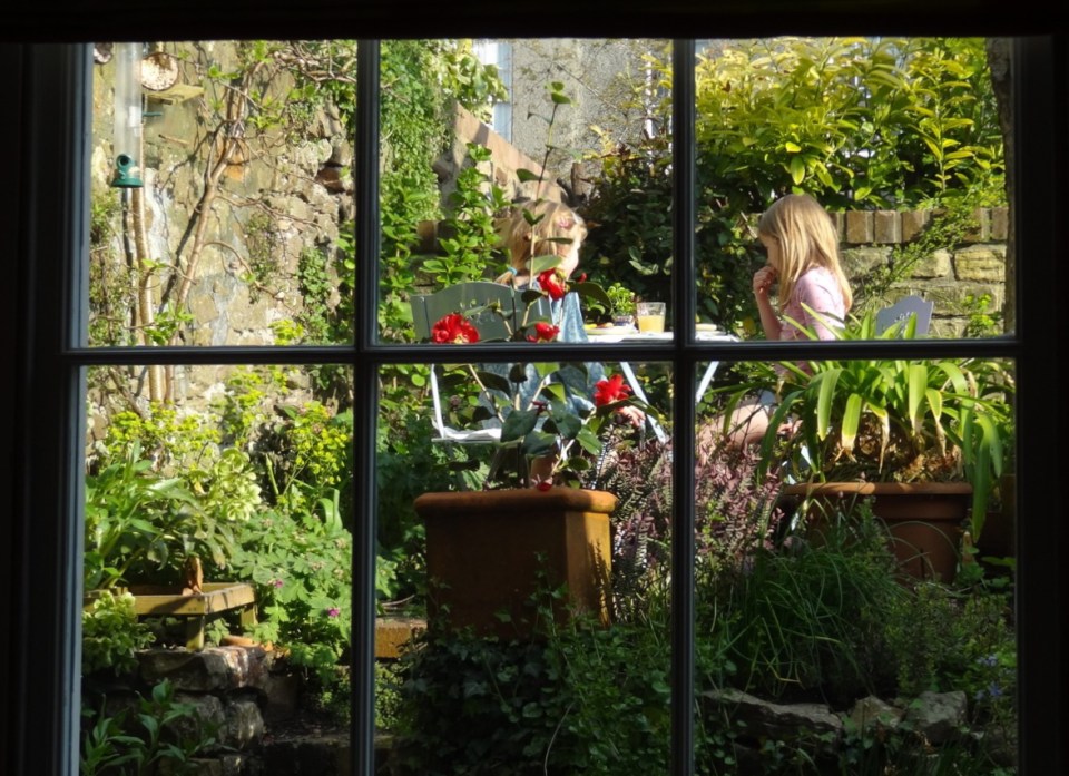 Tea in the snail haven