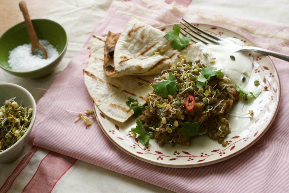 Rhubarb and lentil curry