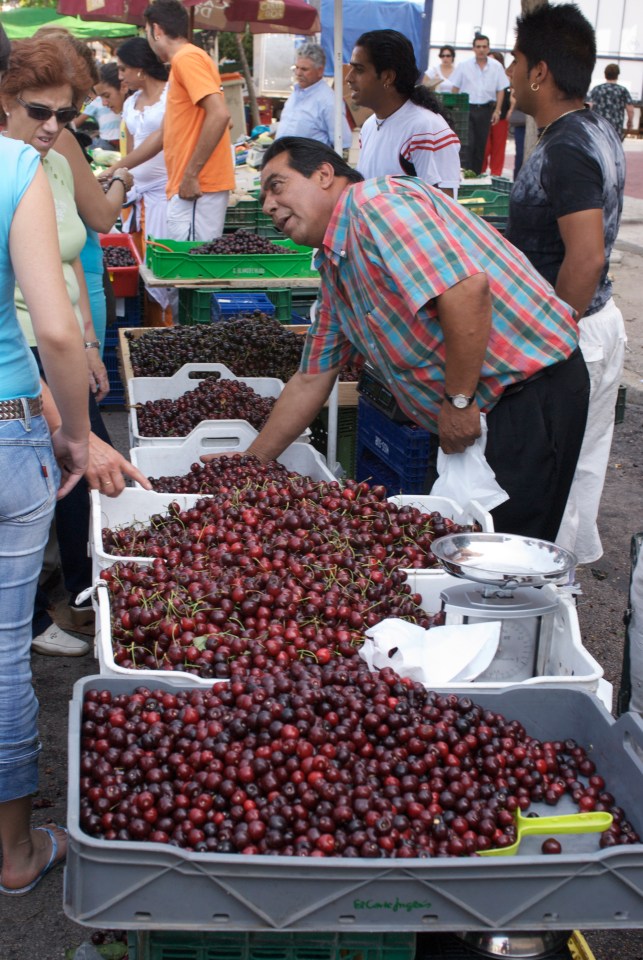 Extremadura cherries