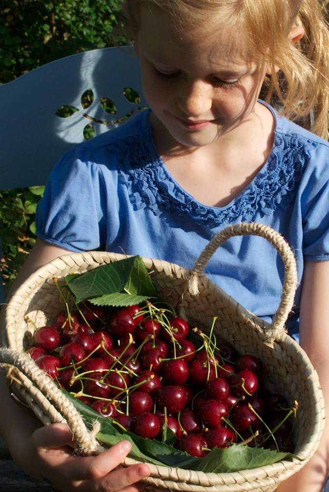 Imi with cherries
