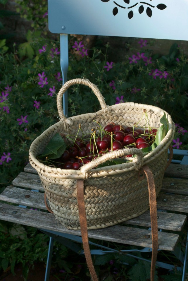 Cherries in a basket