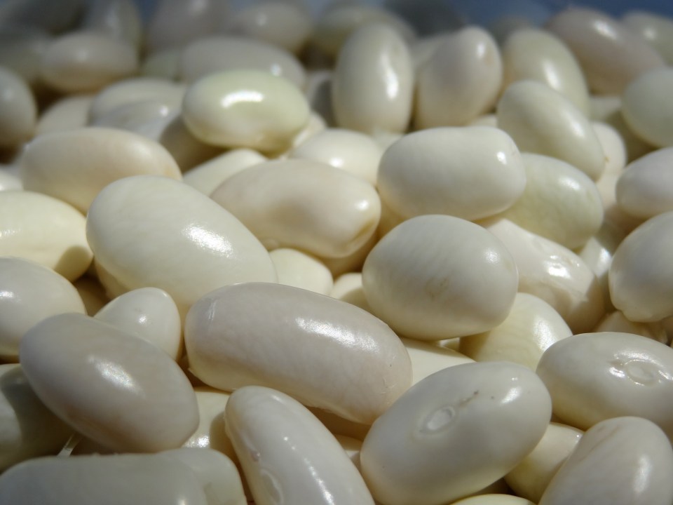Italian butter beans