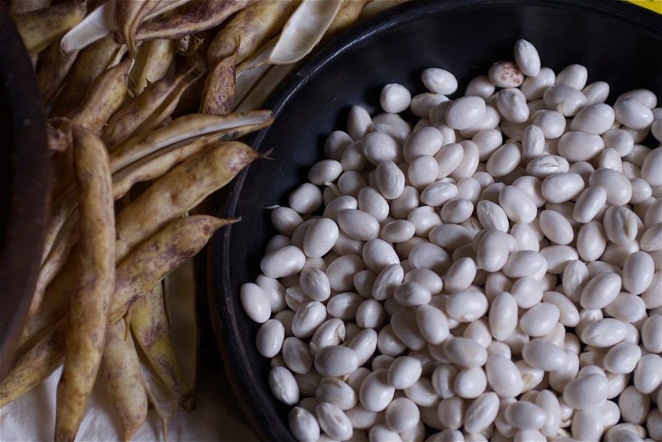 Podded Coco beans