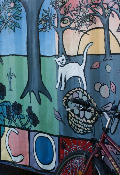 Mural - Jenny Chandler