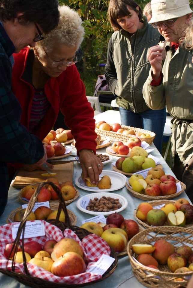 Tasting Apple Varieties - Jenny Chandler