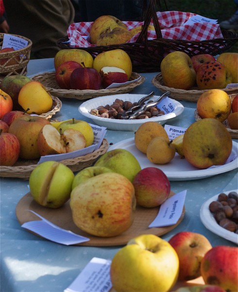 The Tasting Table - Jenny Chandler