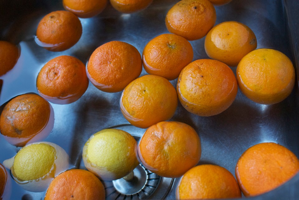 Jenny Chandler Marmalade