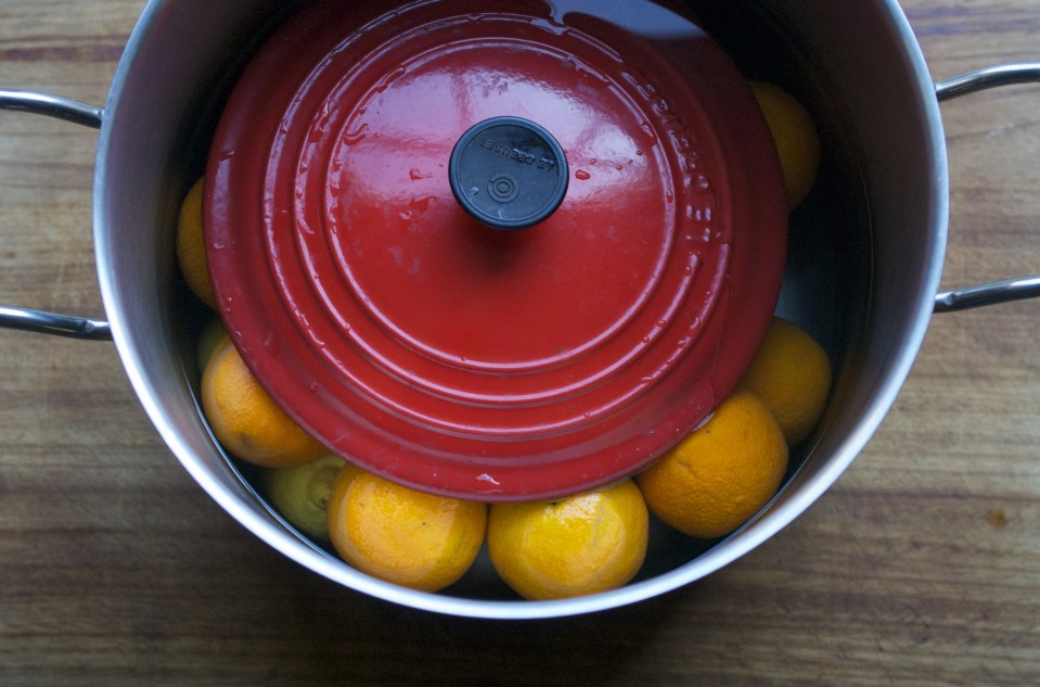 Jenny Chandler Marmalade