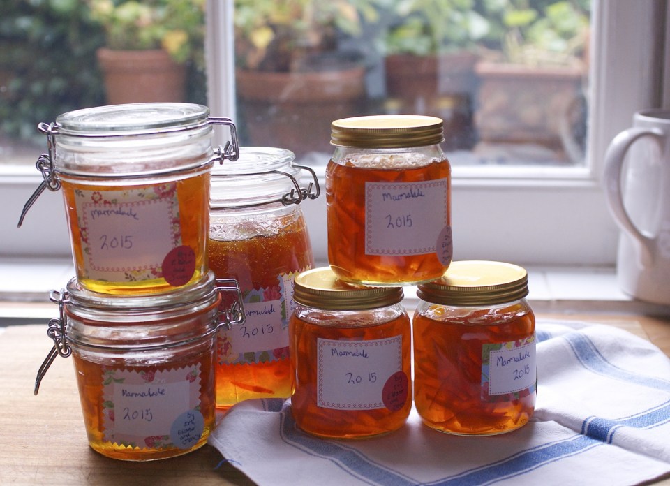 Jenny Chandler Marmalade