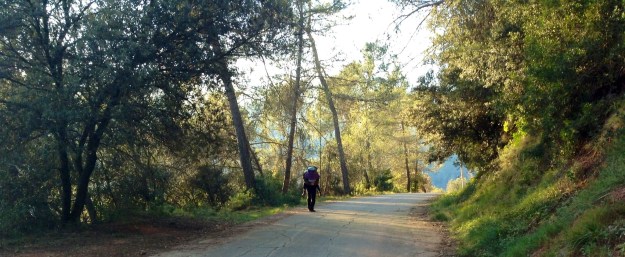 Jenny Chandler calcots