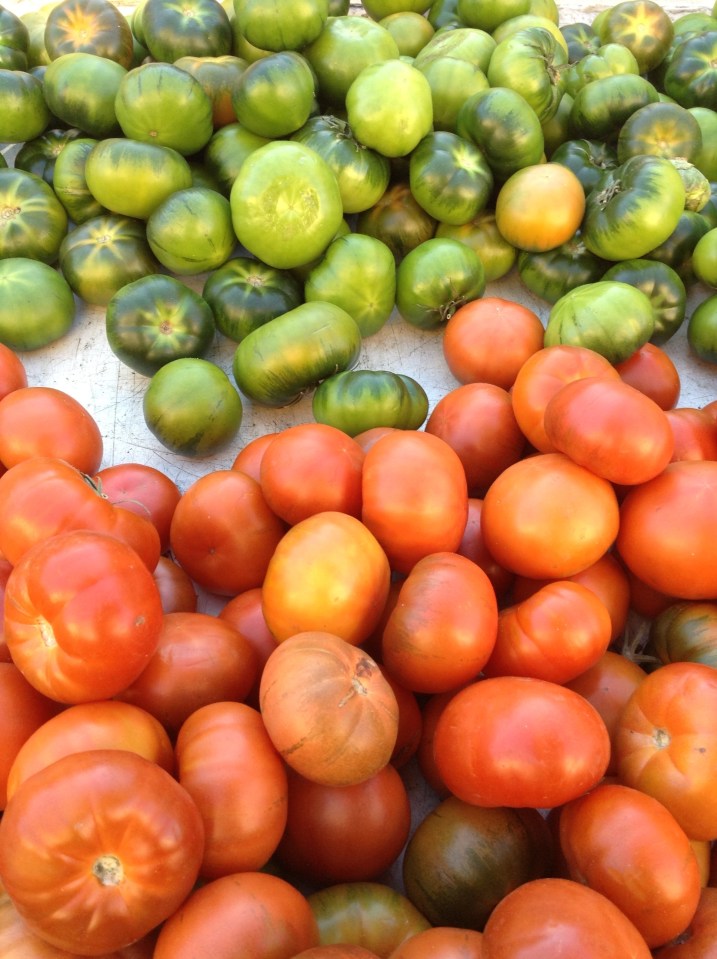 Jenny Chandler La Garriga