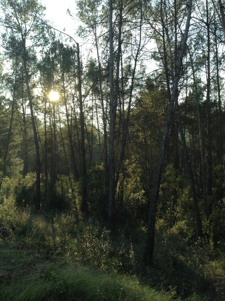 Jenny Chandler Catalonia