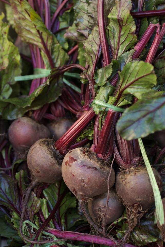 Jenny Chandler Beetroot