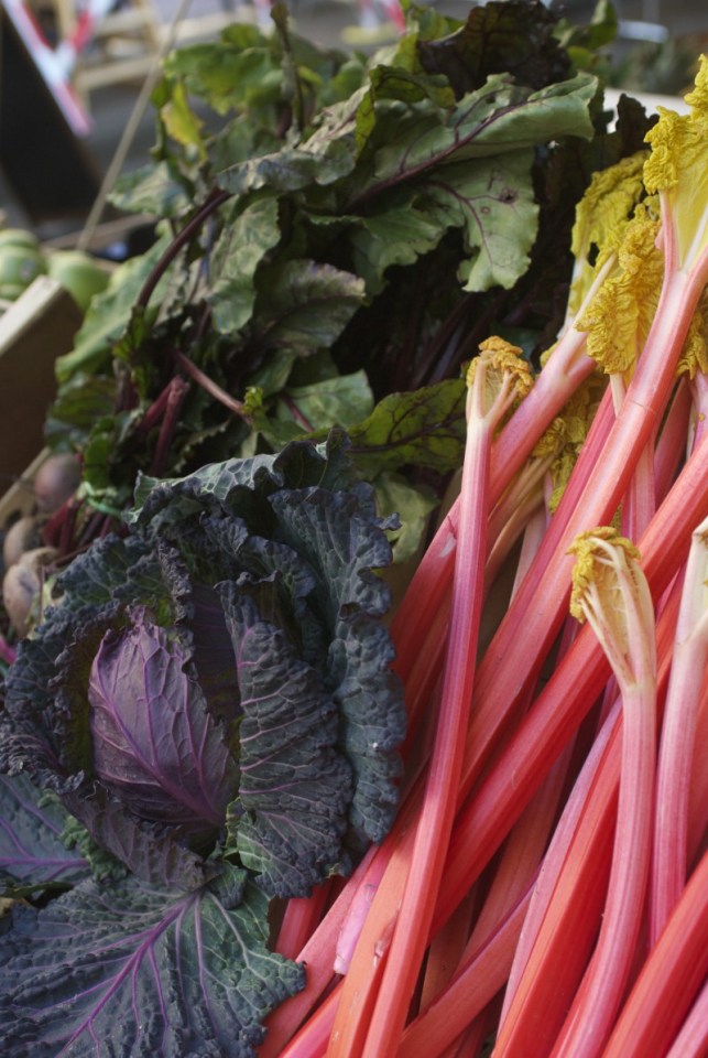 Reg the Veg Cabbage and Rhubarb
