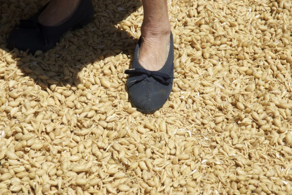 Miranda del Castanar