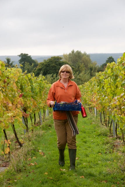 Dunleavy vineyard