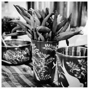 Jenny Chandler Dal demo