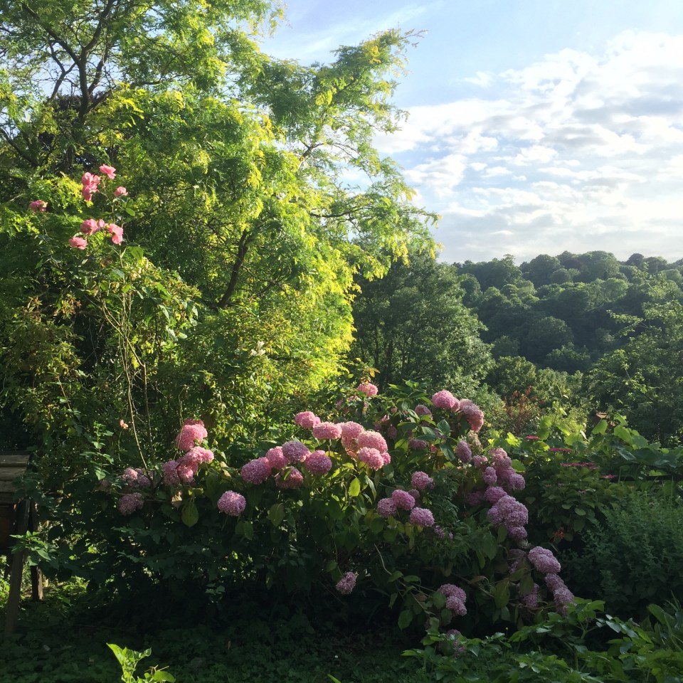 Clifton view - Jenny Chandler Blog