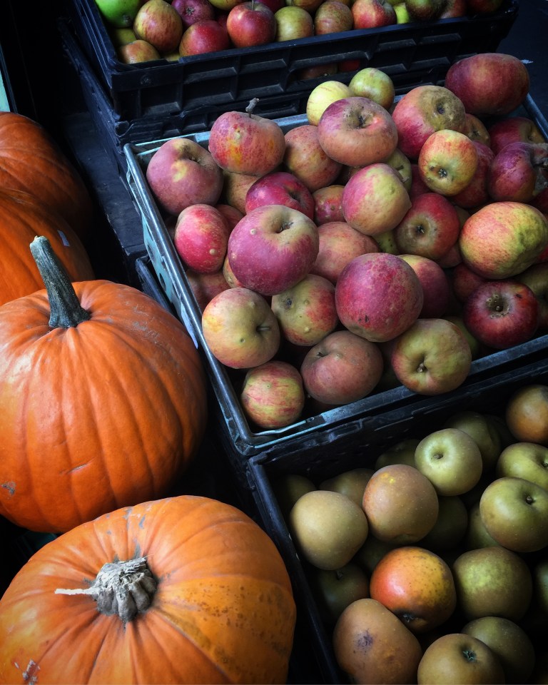 Jenny Chandler Blog Pumpkins